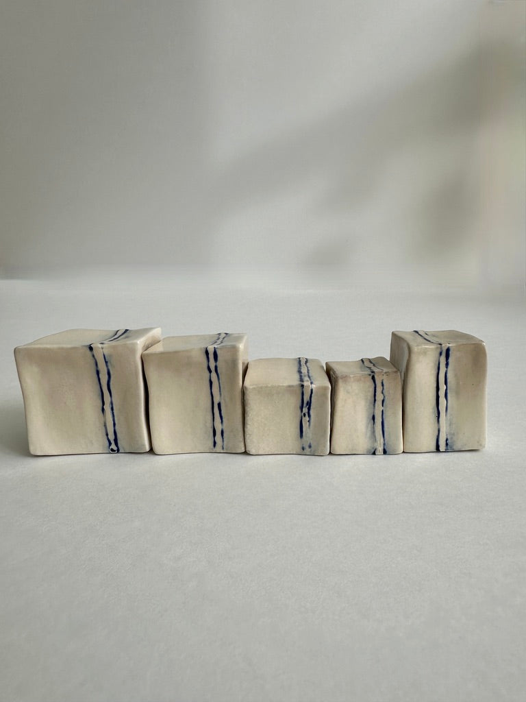 Cube Sculptures: Raised Mango (5pc)