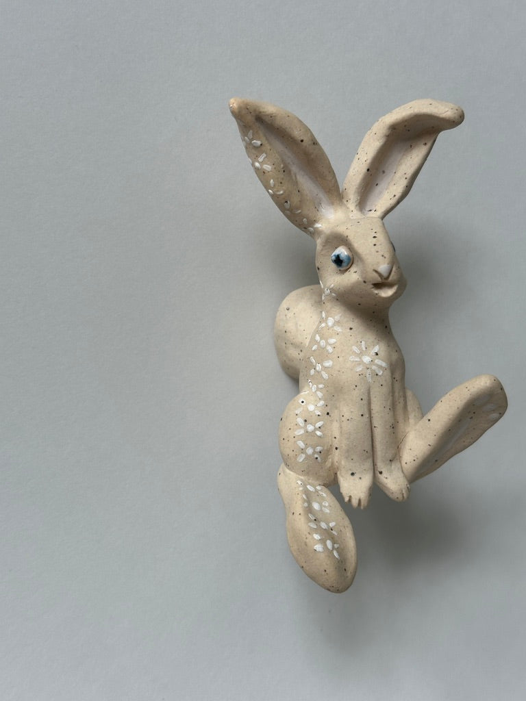 Goofy tattooed Rabbit
