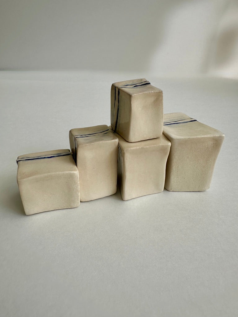 Cube Sculptures: Raised Mango (5pc)