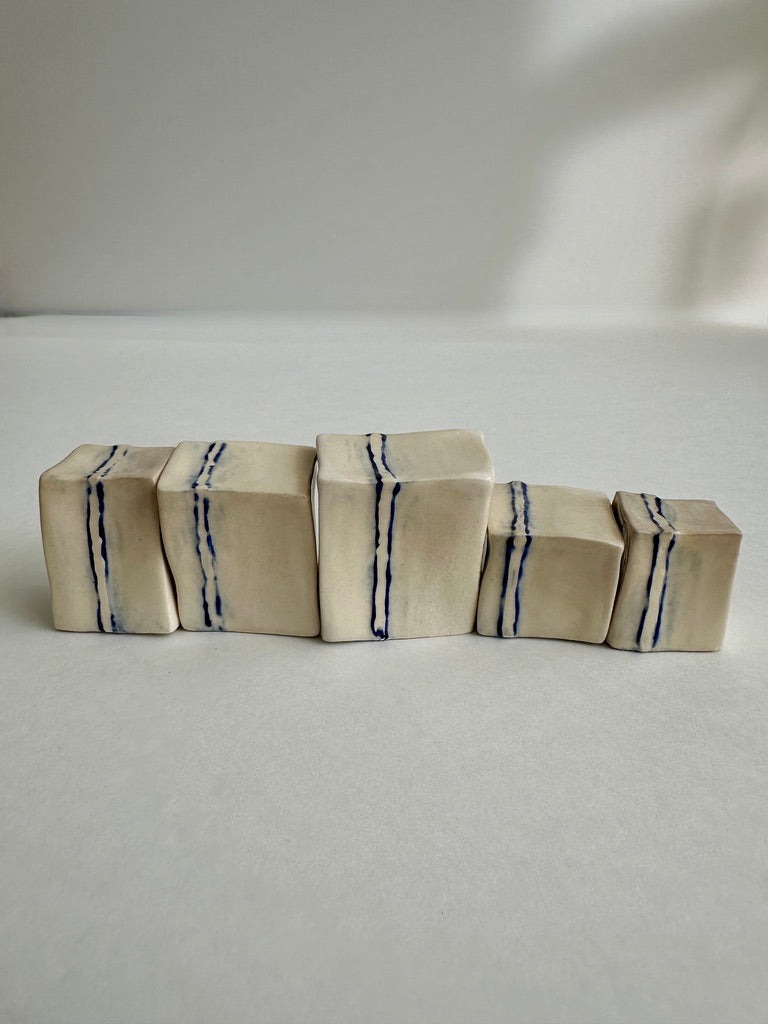 Cube Sculptures: Raised Mango (5pc)