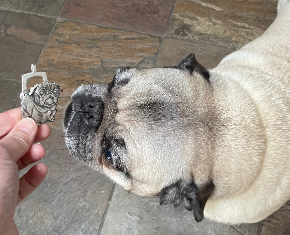 Pug Key Chain