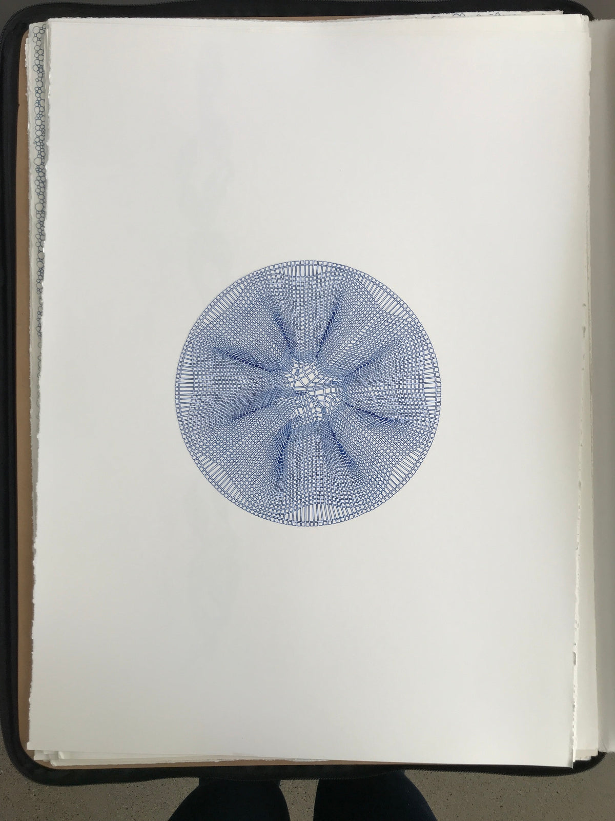 Starburst - flower