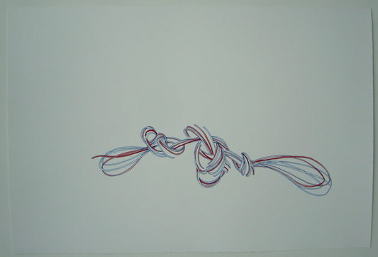 Red and white Knot